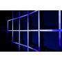 Showtec Single Strip for Octostrip FLEX - 1 m LED RGBW Octostrip de 27 W en carcasa IP65