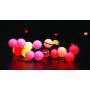 SHOWTEC Festoon Q4 String IP65 20 Pixels, 15 m 20 píxeles, 15 m
