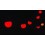 SHOWTEC Festoon Q4 String IP65 20 Pixels, 15 m 20 píxeles, 15 m