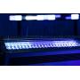 SHOWTEC Spectra Strobe Barra de 360 LED blancos de 1 W y 384 LED RGB de 0,5 W - IP65