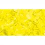 Showtec Show Confetti Rectangle 55 x 17mm Multicolor, 1 kg, ignífugo - Imagen 8