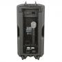 DAP PSS-110 MKIII Sistema de sonido portátil de 10" que funciona por batería - Imagen 2