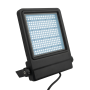 Showtec Cedda 150W LED Floodlight Proyector LED blanco brillante de 150 W