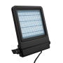 Showtec Cedda 200W LED Floodlight Proyector LED blanco brillante de 200 W