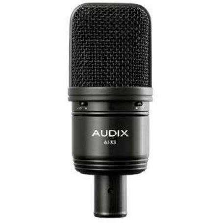 AUDIX A133